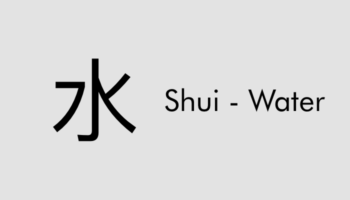 water-element-tcm-wu-xing-kidney-health-School-of-Touch