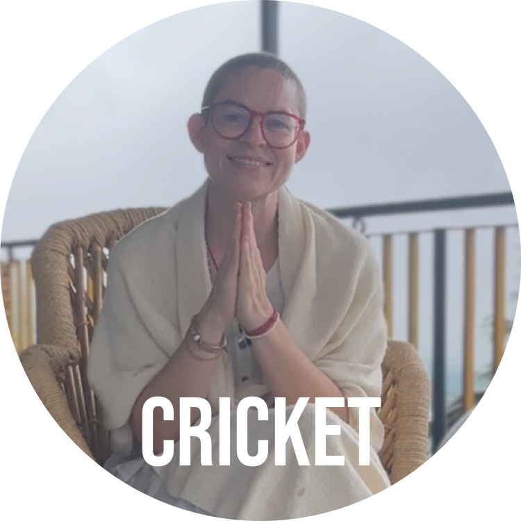Cricket